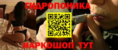 спиды Обь