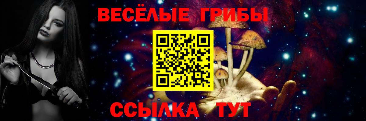 Псилоцибиновые грибы Psilocybe  Галлюциногенные грибы GOLDEN TEACHER  Ревда  Вход с VPN 
